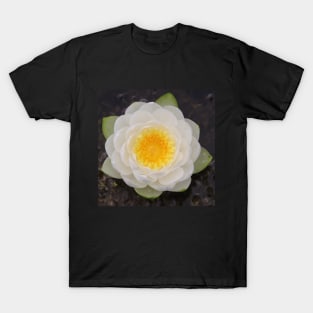 Waterlily at the Brickworks T-Shirt